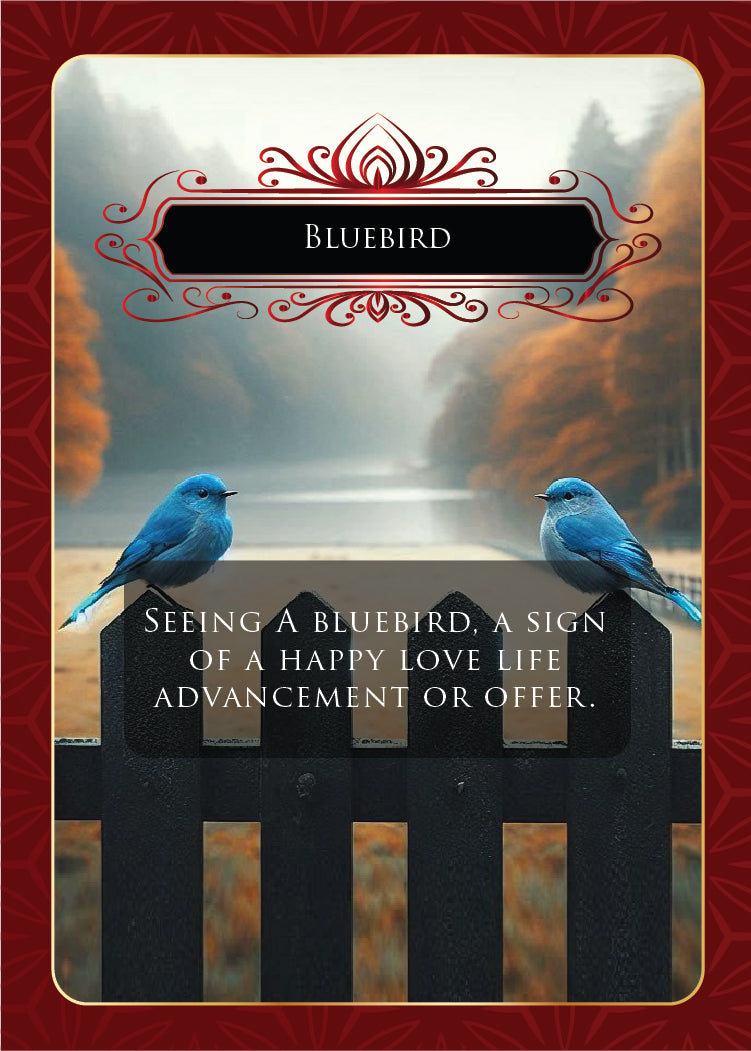 OMEN Power Bundle: Oracle Deck & Luck Tea